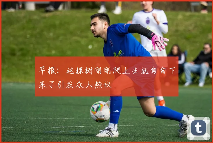 早报：这棵树刚刚爬上去就匆匆下来了引发众人热议