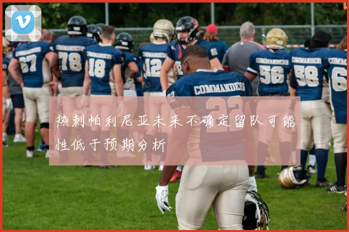 热刺帕利尼亚未来不确定留队可能性低于预期分析